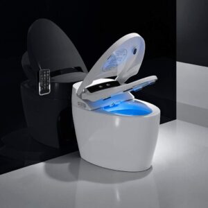 Smart toilets in Ghana - modern and innovative bathroom solutions